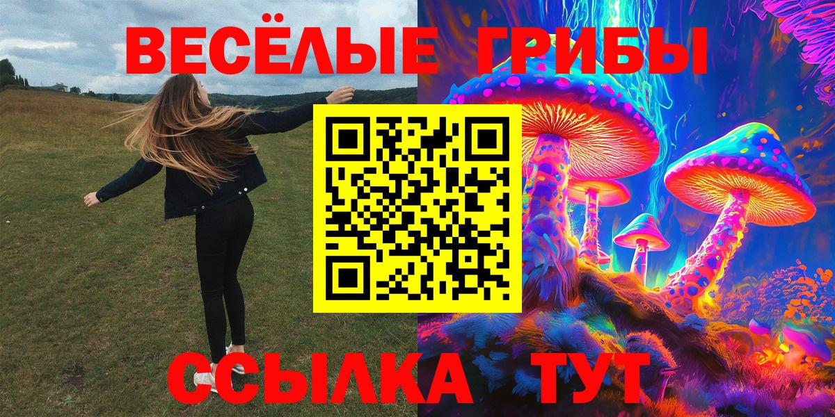 Псилоцибиновые грибы мицелий Полевской